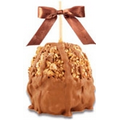 Snickers Caramel Apple w / Milk Belgian Chocolate